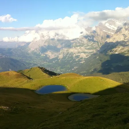 Bodenwald * 그린델발트