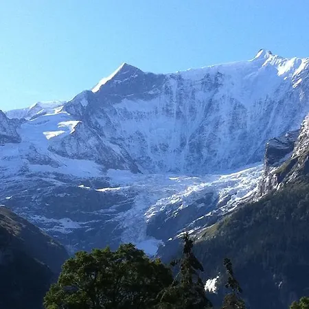아파트 Bodenwald 그린델발트
