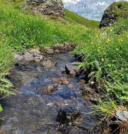 Chalet Bodenwald Grindelwald