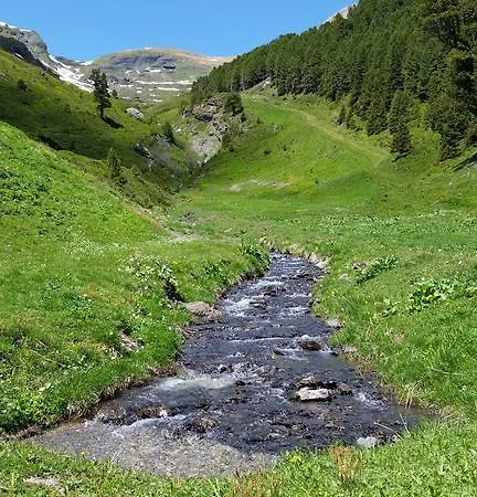 Bodenwald 아파트 그린델발트