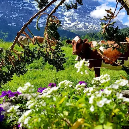 Bodenwald 아파트 *