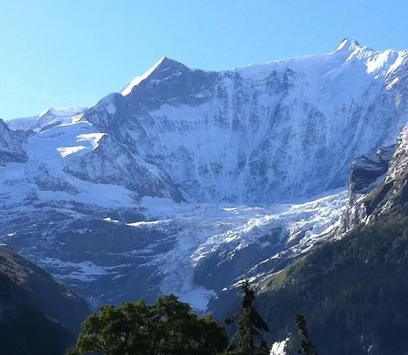 Διαμέρισμα Bodenwald Γκρίντελβαλντ