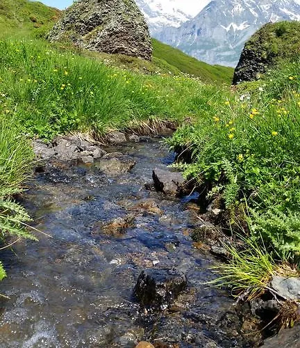 Bodenwald Γκρίντελβαλντ