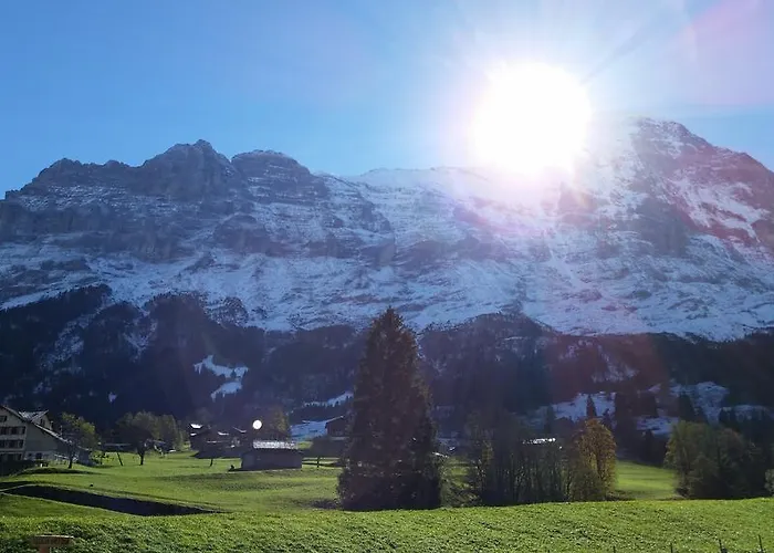 Bodenwald Διαμέρισμα Γκρίντελβαλντ
