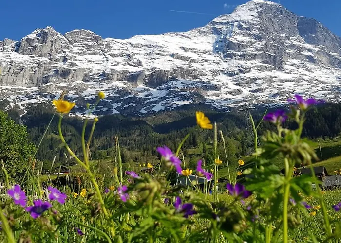 Διαμέρισμα Bodenwald