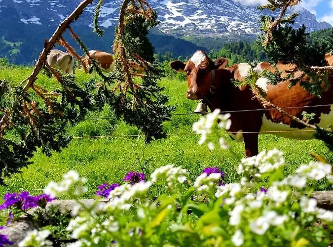 Bodenwald Διαμέρισμα *