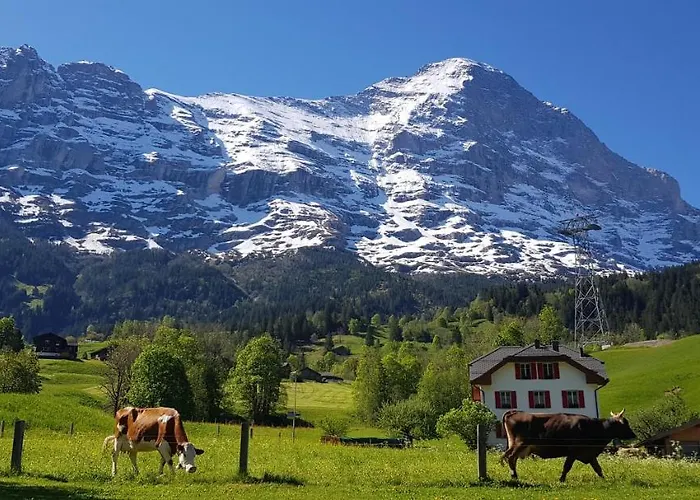 Bodenwald Διαμέρισμα